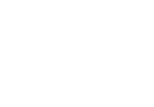 Aluizio Pires Education